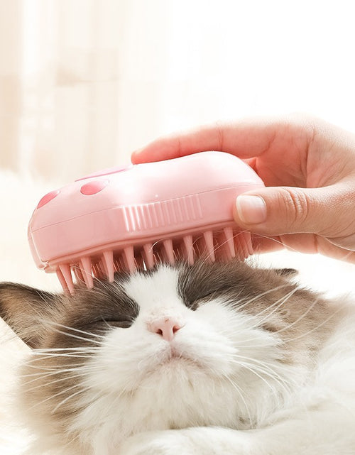 Load image into Gallery viewer, Cat&#39;s Paw Pet Spray Massage Brush
