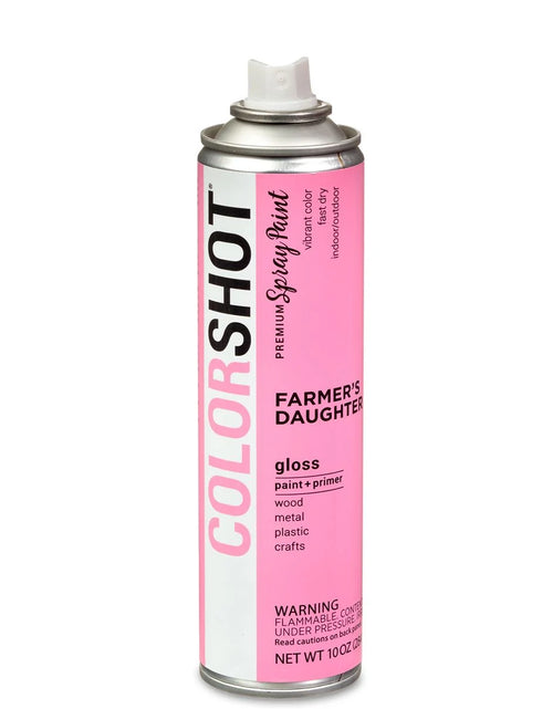 Load image into Gallery viewer, Premium Multi-Surface Gloss Farmers Daughter Spray Paint - 10 Oz - Pink
